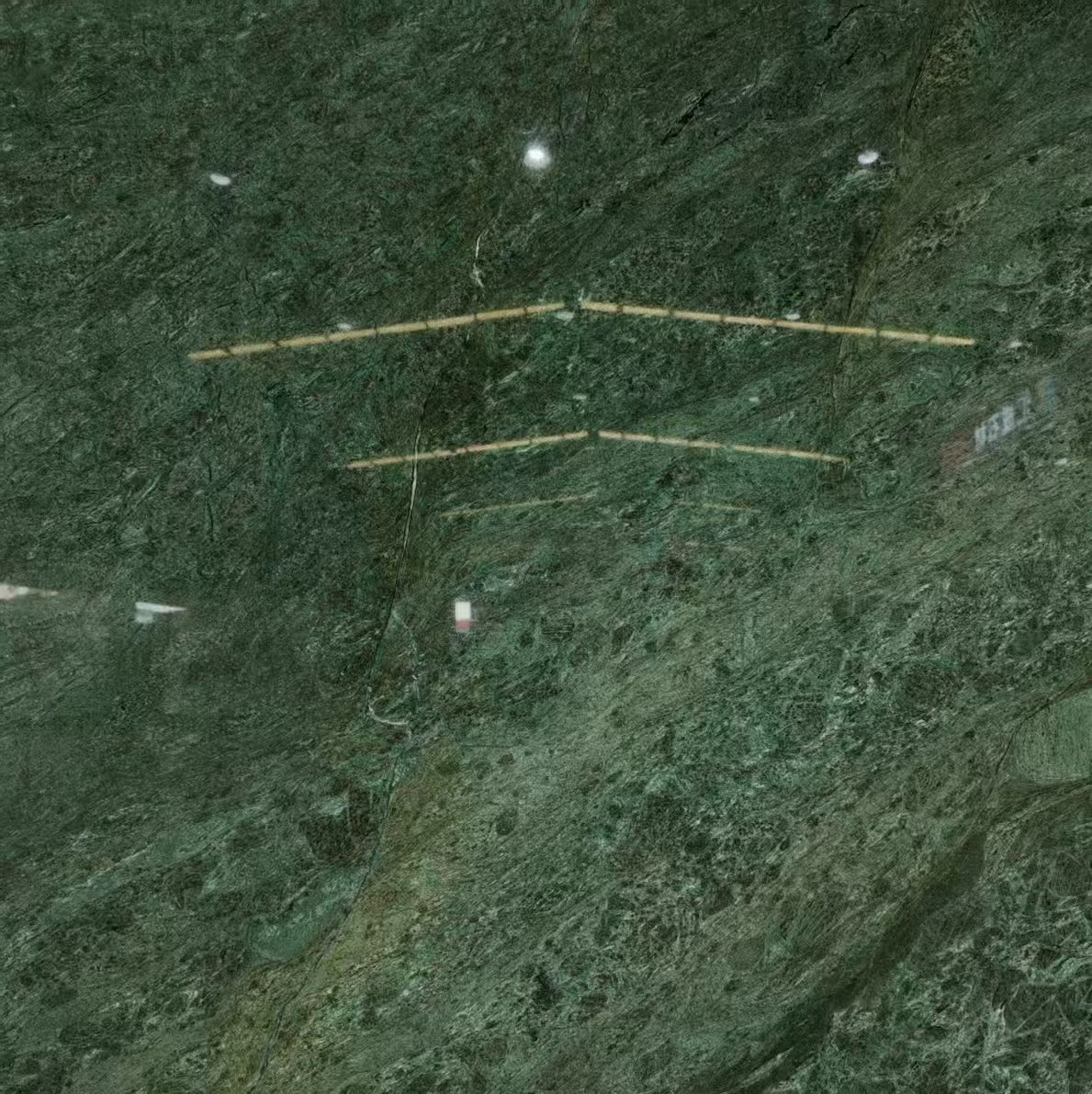 Rainforest Verde Marble Slab